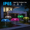 LED Solar Garden Lights